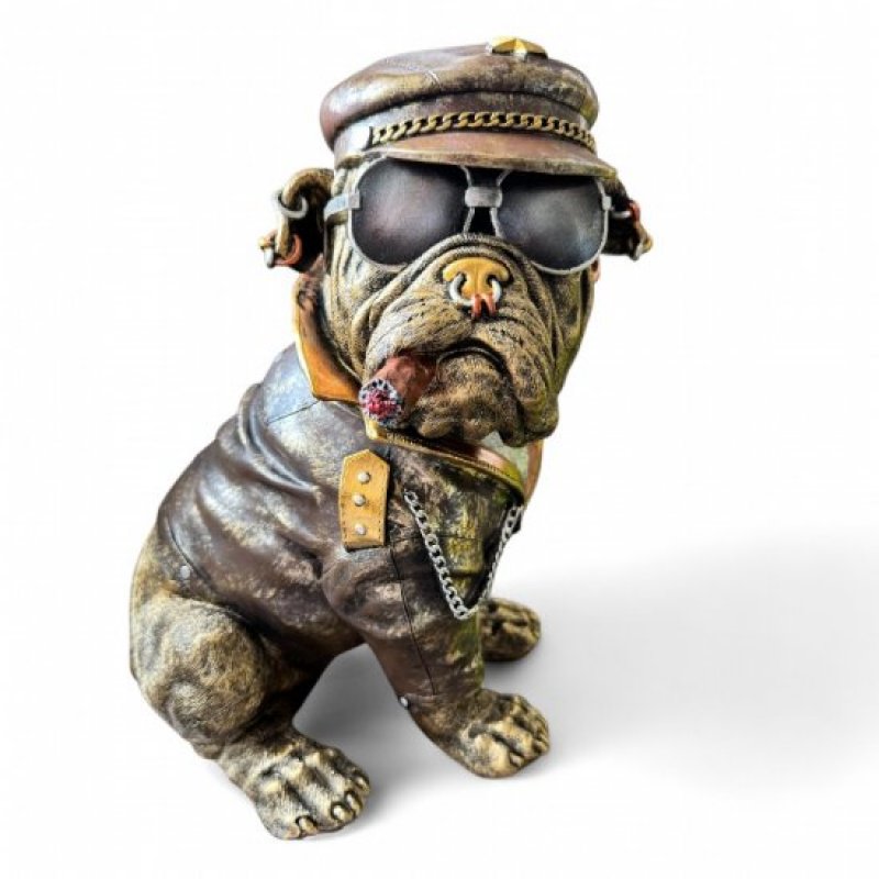 Hund Bulldogge mit Mütze